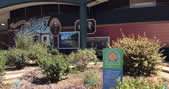 Covina Native Plant Demonstration Garden at Covina Public Library Covina Native Plant Demonstration Garden at Covina Public Library